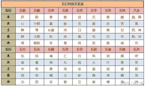 職業 算命|細選【八字五行職業】，屬性對應必事半功倍！【社會新鮮人必看。